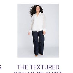 Lane Bryant Cream and Gold Accent Blouse